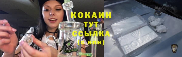 дживик Нея