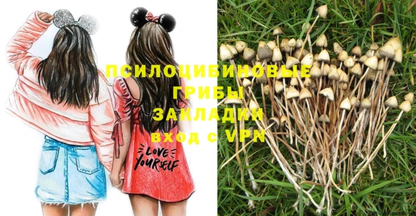 дживик Нея