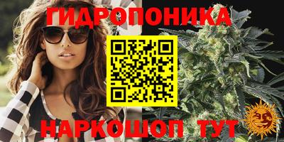 герыч Бийск