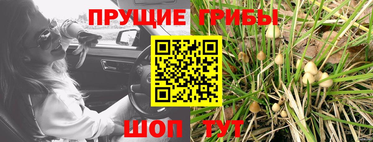 Мичуринск  Псилоцибиновые грибы прущие грибы  Вход с VPN 