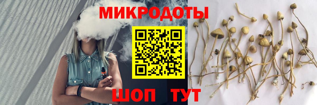 Галлюциногенные грибы MAGIC MUSHROOMS Мичуринск