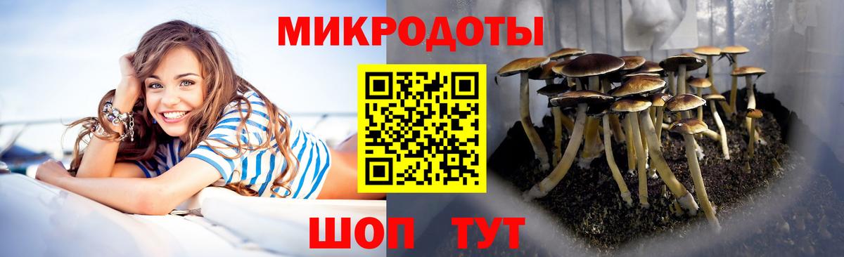 Галлюциногенные грибы ЛСД Мичуринск